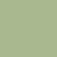 Sage Green colour swatch from the Anglian door colours